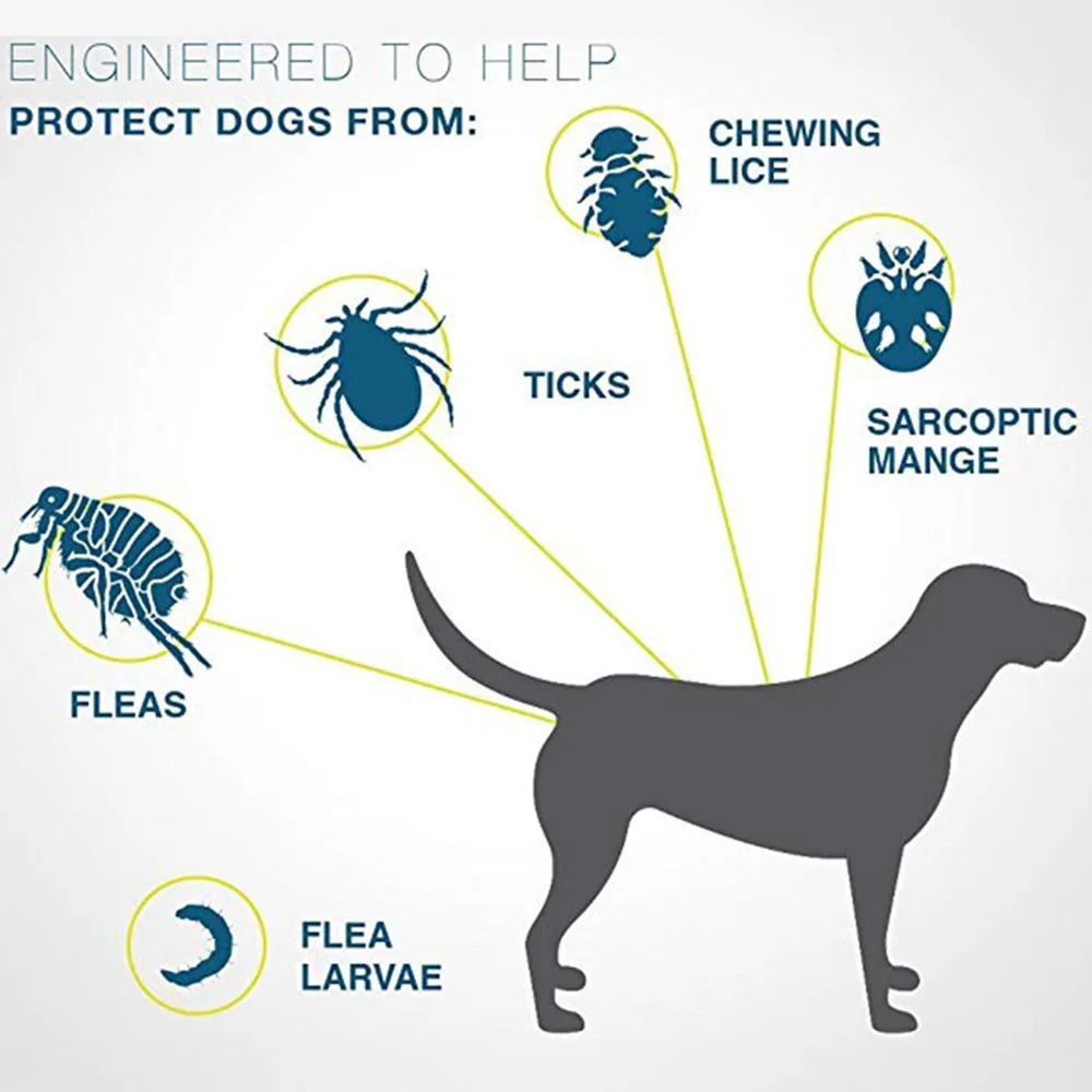 Pet Flea and Tick Collar: 8-Month Protection for Dogs and Cats