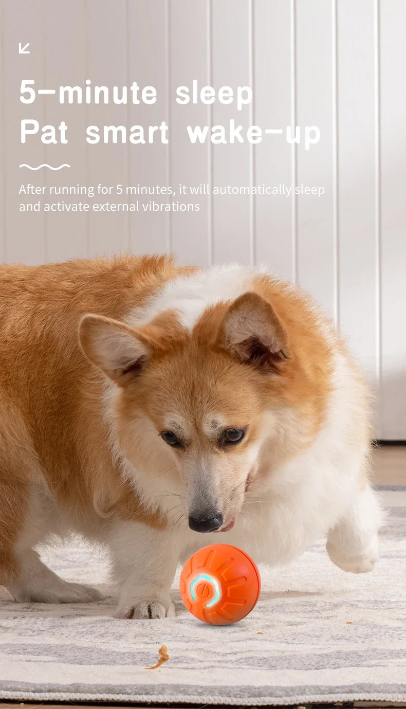 Smart Electronic Interactive Dog Toy Ball: USB Automatic Moving and Bouncing”