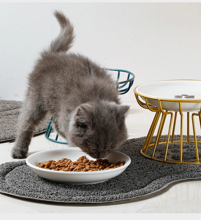 Cat Lift Bowl With Metal Stand