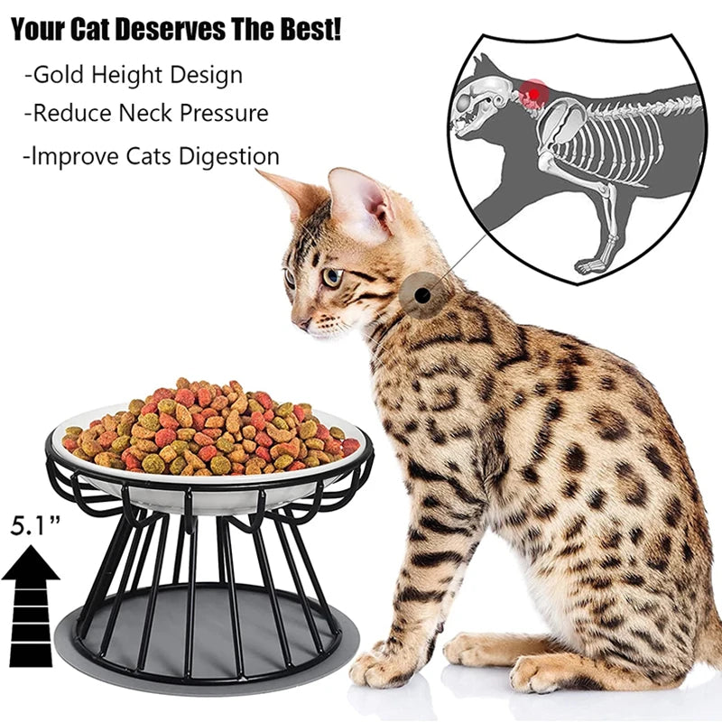 Cat Lift Bowl With Metal Stand